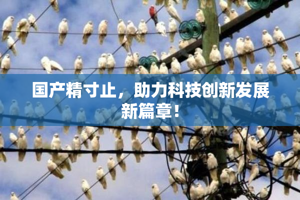 国产精寸止，助力科技创新发展新篇章！
