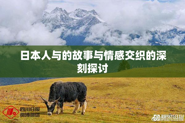 日本人与的故事与情感交织的深刻探讨