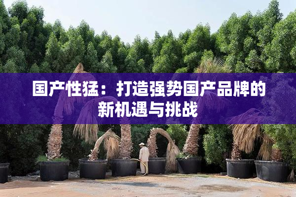 国产性猛：打造强势国产品牌的新机遇与挑战