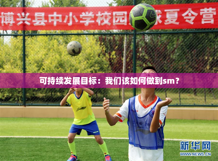 可持续发展目标：我们该如何做到sm？
