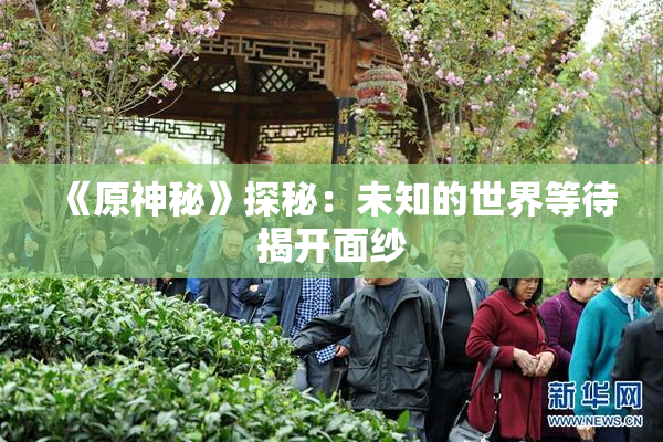 《原神秘》探秘：未知的世界等待揭开面纱