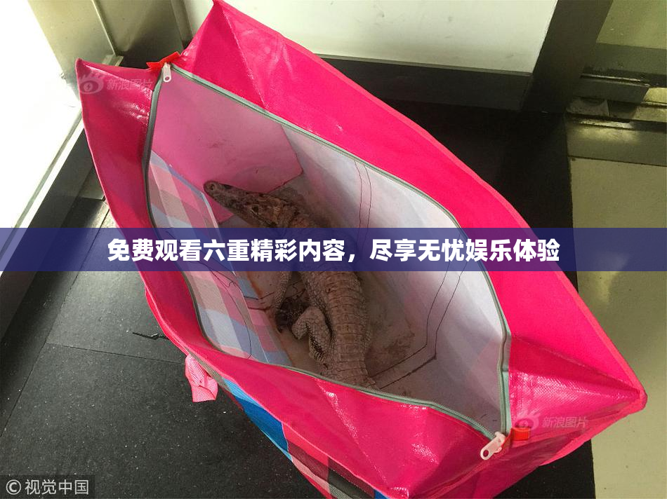 免费观看六重精彩内容，尽享无忧娱乐体验