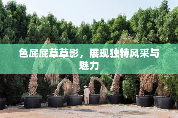 色屁屁草草影，展现独特风采与魅力