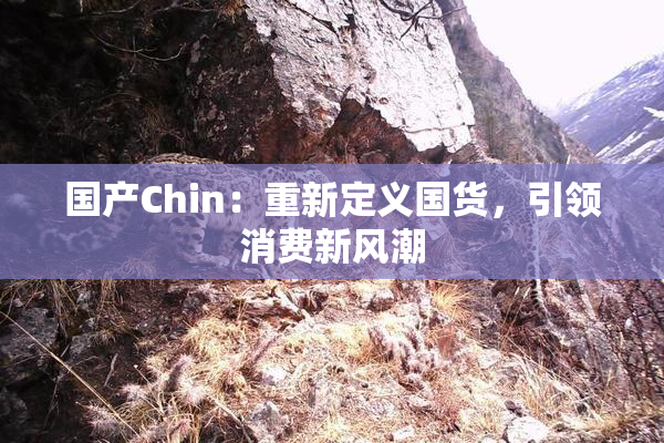 国产Chin：重新定义国货，引领消费新风潮