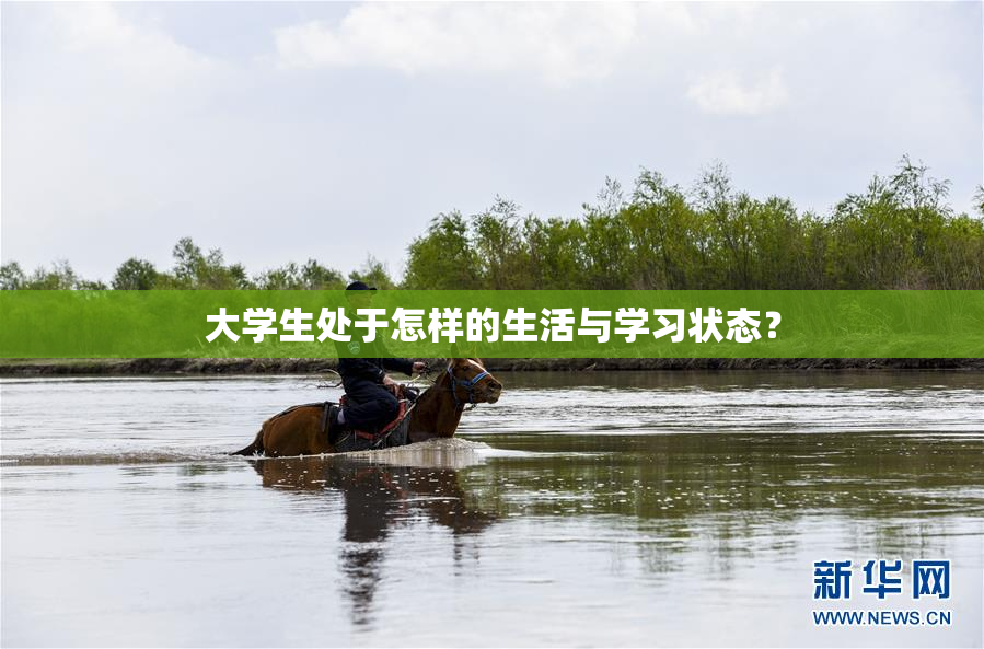 大学生处于怎样的生活与学习状态？