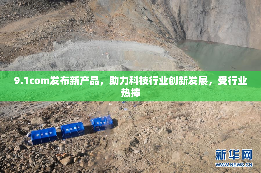 9.1com发布新产品，助力科技行业创新发展，受行业热捧