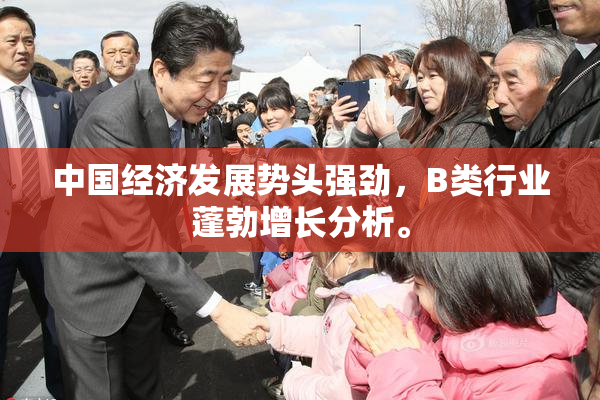 中国经济发展势头强劲，B类行业蓬勃增长分析。