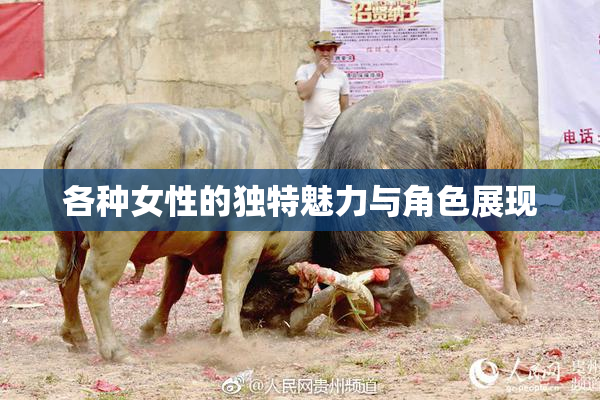 各种女性的独特魅力与角色展现