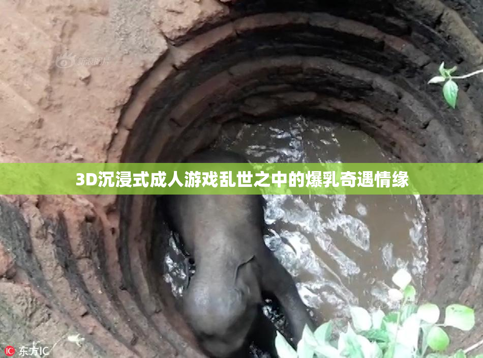 3D沉浸式成人游戏乱世之中的爆乳奇遇情缘