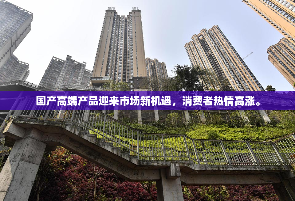 国产高端产品迎来市场新机遇，消费者热情高涨。