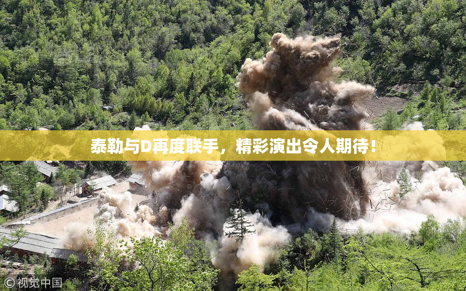 泰勒与D再度联手，精彩演出令人期待！