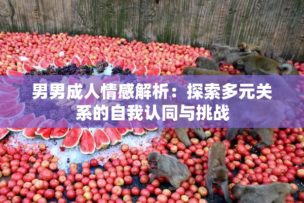 男男成人情感解析：探索多元关系的自我认同与挑战