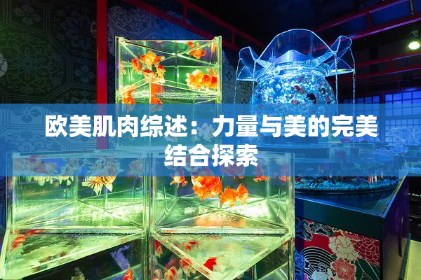 欧美肌肉综述：力量与美的完美结合探索
