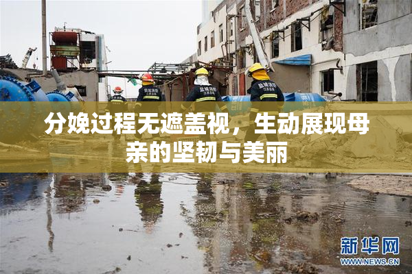 分娩过程无遮盖视，生动展现母亲的坚韧与美丽