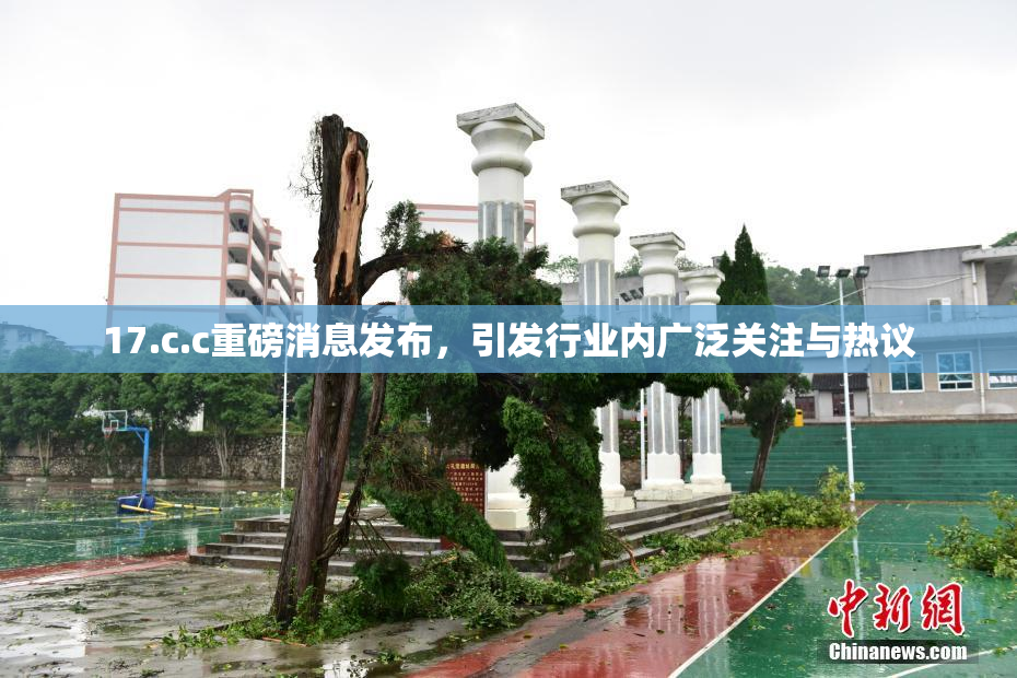 17.c.c重磅消息发布，引发行业内广泛关注与热议