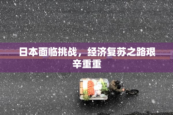 日本面临挑战，经济复苏之路艰辛重重