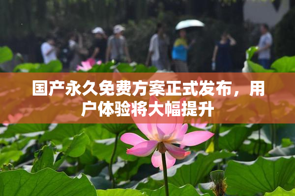 国产永久免费方案正式发布，用户体验将大幅提升