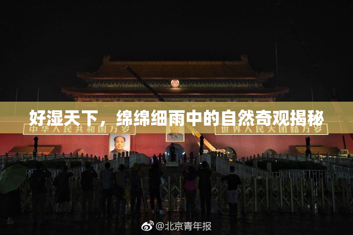 好湿天下，绵绵细雨中的自然奇观揭秘
