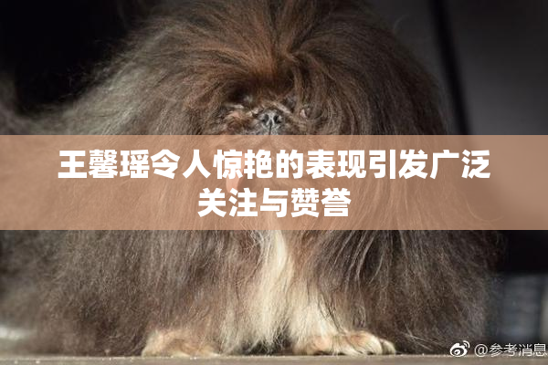 王馨瑶令人惊艳的表现引发广泛关注与赞誉