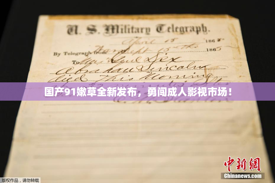国产91嫩草全新发布，勇闯成人影视市场！