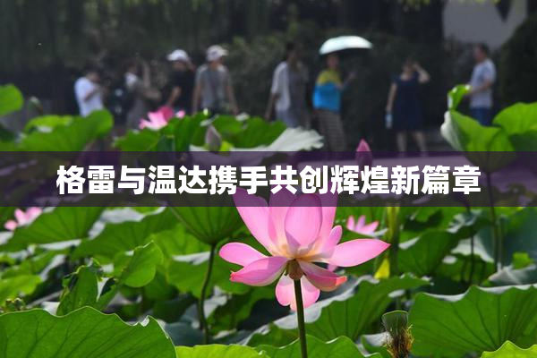 格雷与温达携手共创辉煌新篇章