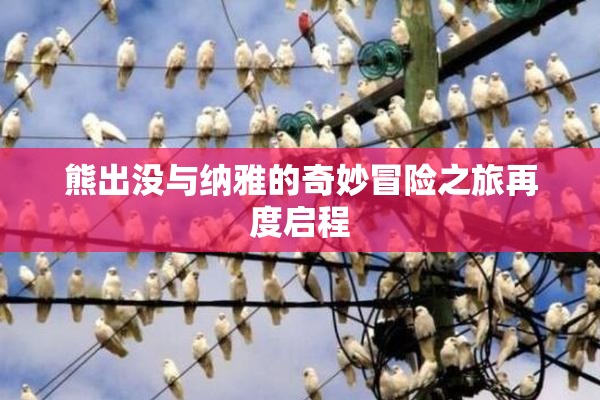 熊出没与纳雅的奇妙冒险之旅再度启程