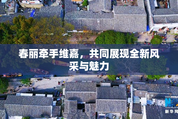 春丽牵手维嘉，共同展现全新风采与魅力
