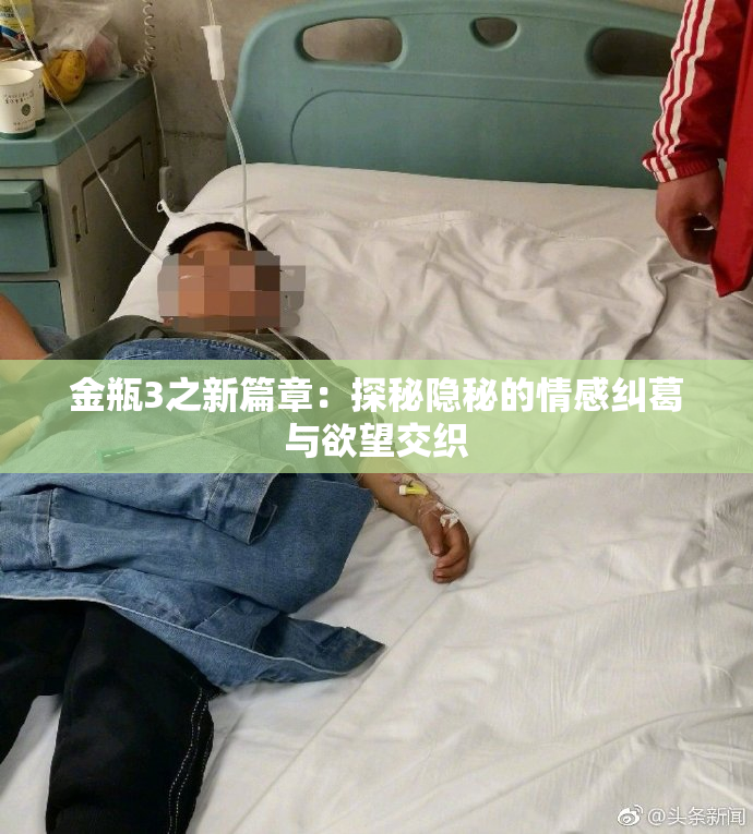 金瓶3之新篇章：探秘隐秘的情感纠葛与欲望交织
