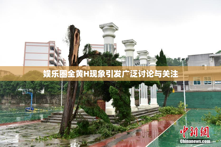 娱乐圈全黄H现象引发广泛讨论与关注