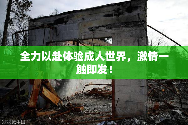 全力以赴体验成人世界，激情一触即发！