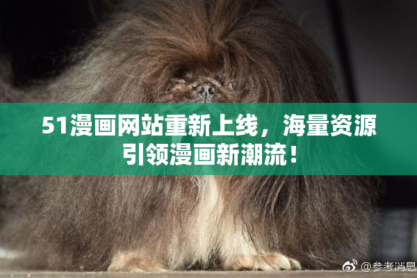 51漫画网站重新上线，海量资源引领漫画新潮流！