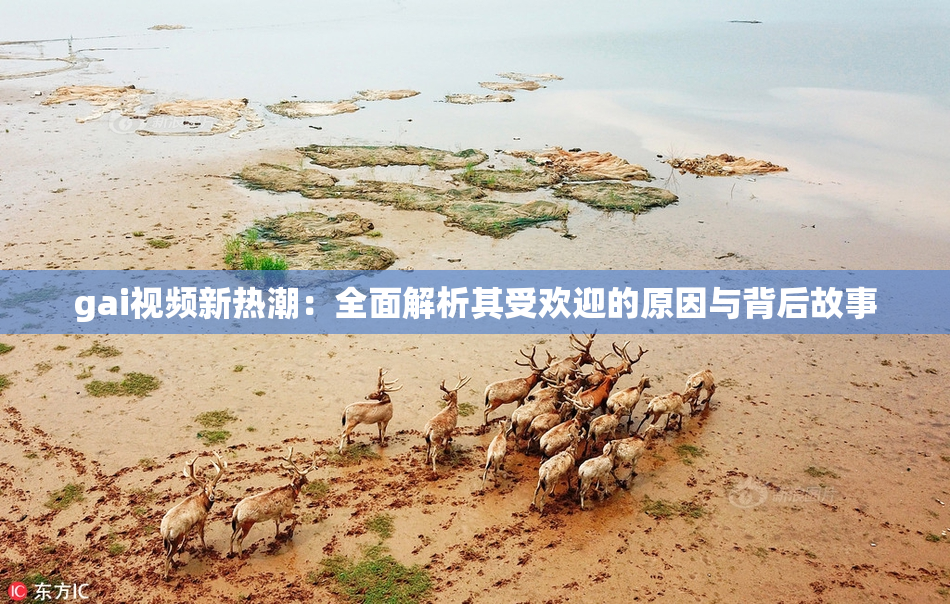 gai视频新热潮：全面解析其受欢迎的原因与背后故事