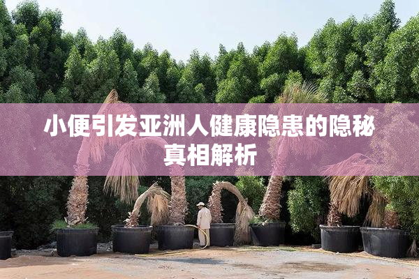 小便引发亚洲人健康隐患的隐秘真相解析