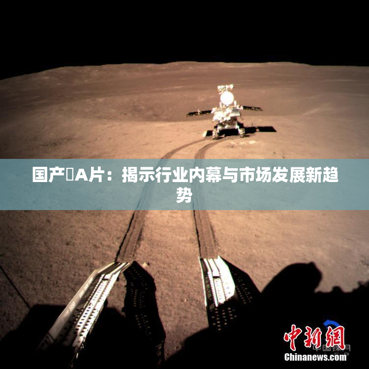 国产婬A片：揭示行业内幕与市场发展新趋势