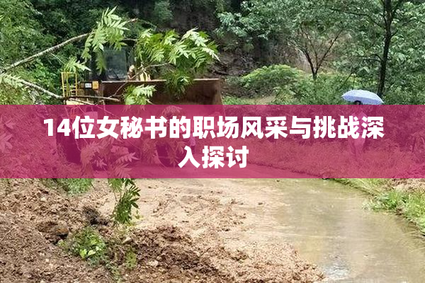 14位女秘书的职场风采与挑战深入探讨