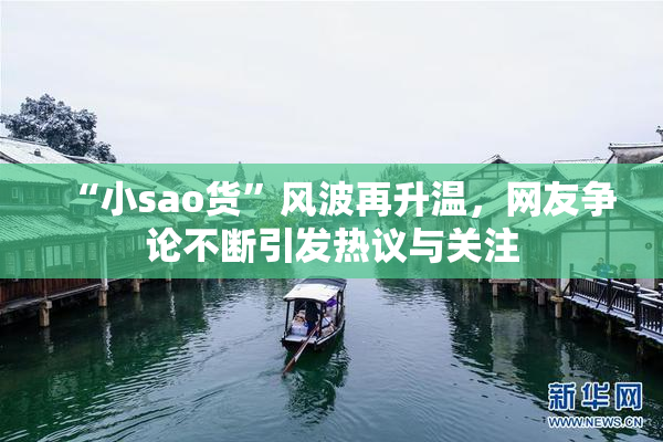 “小sao货”风波再升温，网友争论不断引发热议与关注