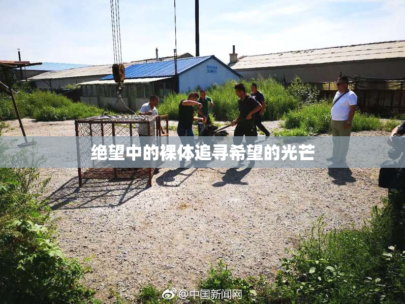 绝望中的裸体追寻希望的光芒