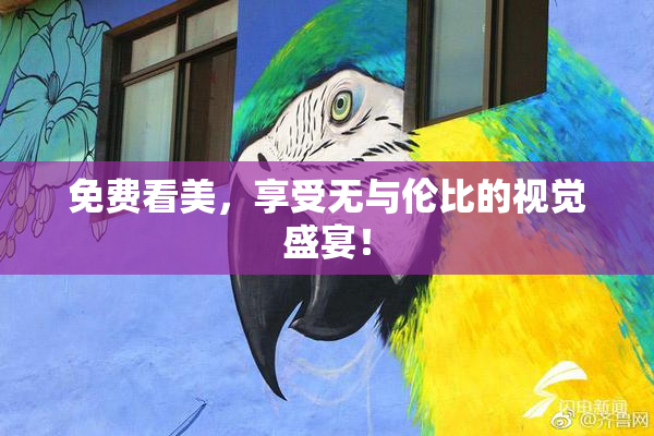 免费看美，享受无与伦比的视觉盛宴！