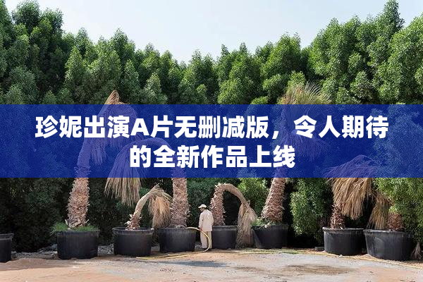 珍妮出演A片无删减版，令人期待的全新作品上线