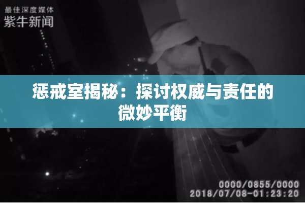 惩戒室揭秘：探讨权威与责任的微妙平衡