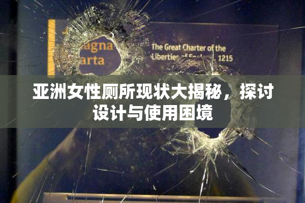 亚洲女性厕所现状大揭秘，探讨设计与使用困境