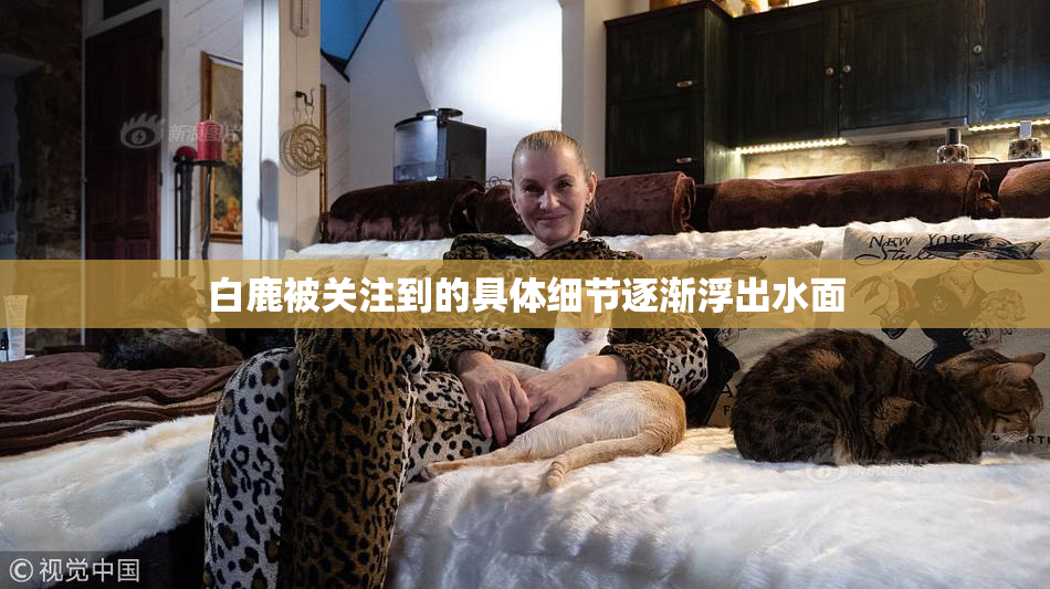 白鹿被关注到的具体细节逐渐浮出水面
