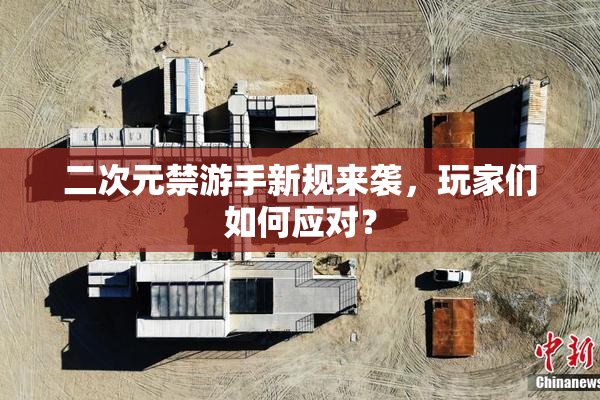 二次元禁游手新规来袭，玩家们如何应对？