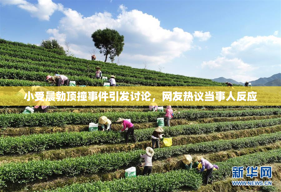 小受晨勃顶撞事件引发讨论，网友热议当事人反应