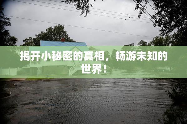 揭开小秘密的真相，畅游未知的世界！