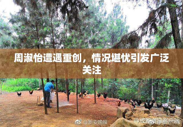 周淑怡遭遇重创，情况堪忧引发广泛关注