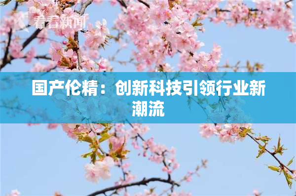 国产伦精：创新科技引领行业新潮流