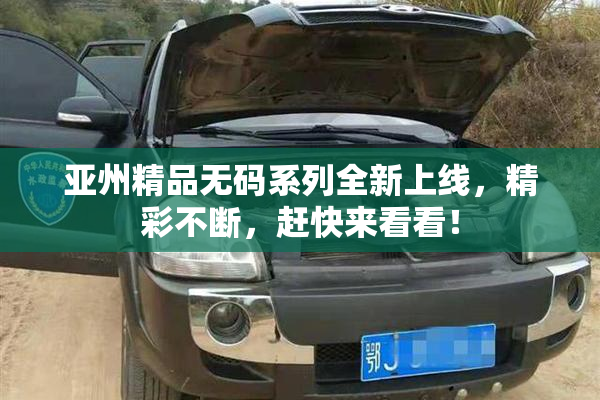 亚州精品无码系列全新上线，精彩不断，赶快来看看！
