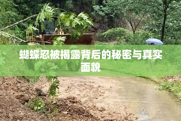 蝴蝶忍被揭露背后的秘密与真实面貌