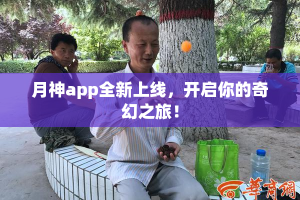 月神app全新上线，开启你的奇幻之旅！